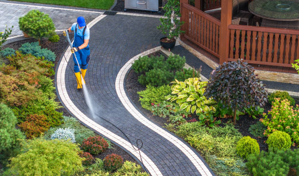 Best Sidewalk Pressure Washing  in Lake Royale, NC